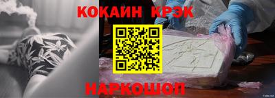 сатива Новозыбков