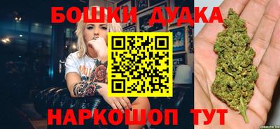 Альфа ПВП Новодвинск