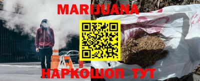 сатива Новозыбков