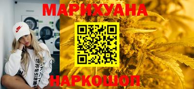 сатива Новозыбков
