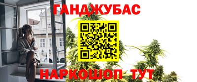 крисы Новокубанск