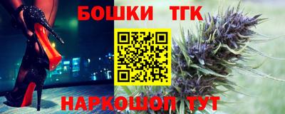 Альфа ПВП Новодвинск