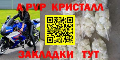 крисы Новокубанск