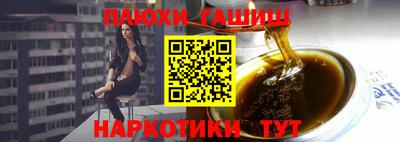 сатива Новозыбков