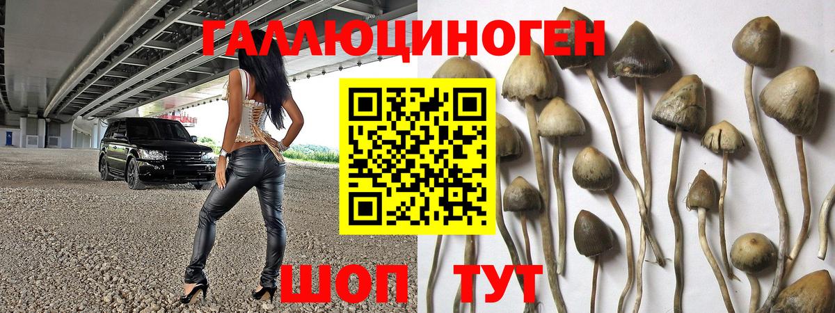Советский  Галлюциногенные грибы Magic Shrooms  купить закладку  Вход с VPN 